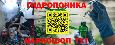 jwh Брянск