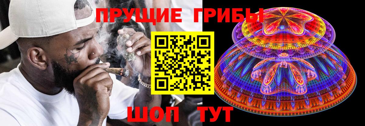 Галлюциногенные грибы GOLDEN TEACHER  Вход с VPN  Карачаевск 